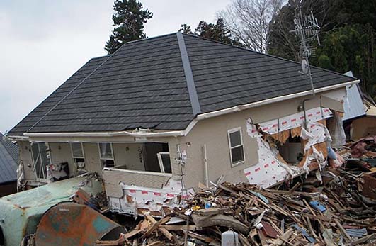 Earthquake Resistance