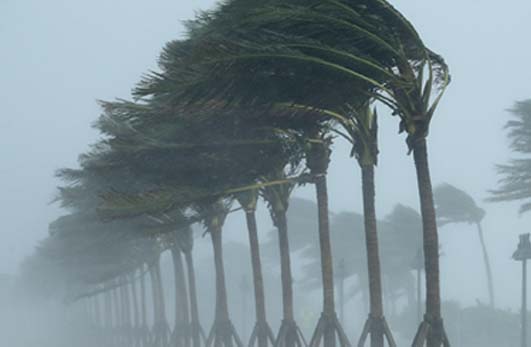 Hurricane