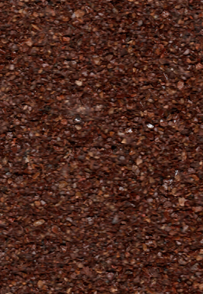 cedar (coffee)
